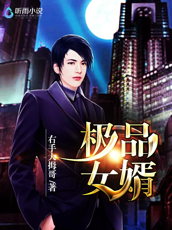 极品女婿
