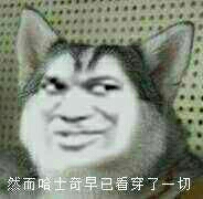 混血妖煞